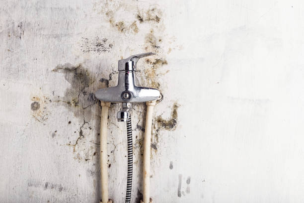 Best Water Damage Restoration  in Norristown, PA