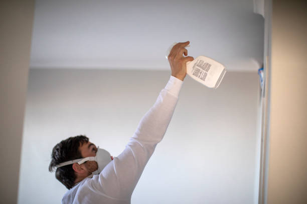 Best Mold Damage Repair  in Norristown, PA