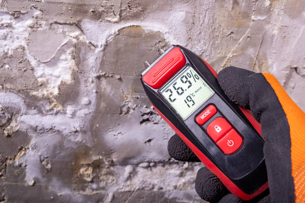 Professional Mold Removal in Norristown, PA